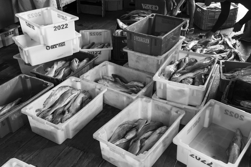 bef7863c-02e4-4d76-9a7c-81c4896a360a