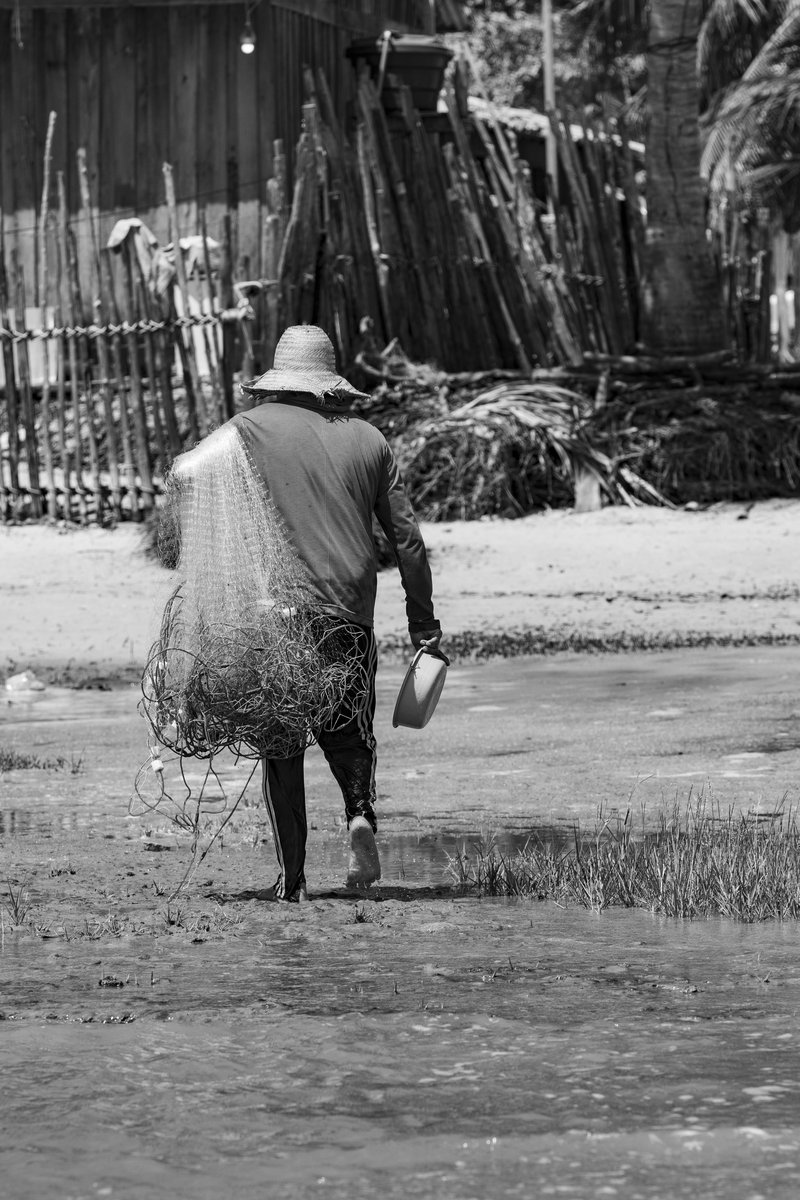 6941fcea-cc8d-42a8-8427-cbb92a5395ce