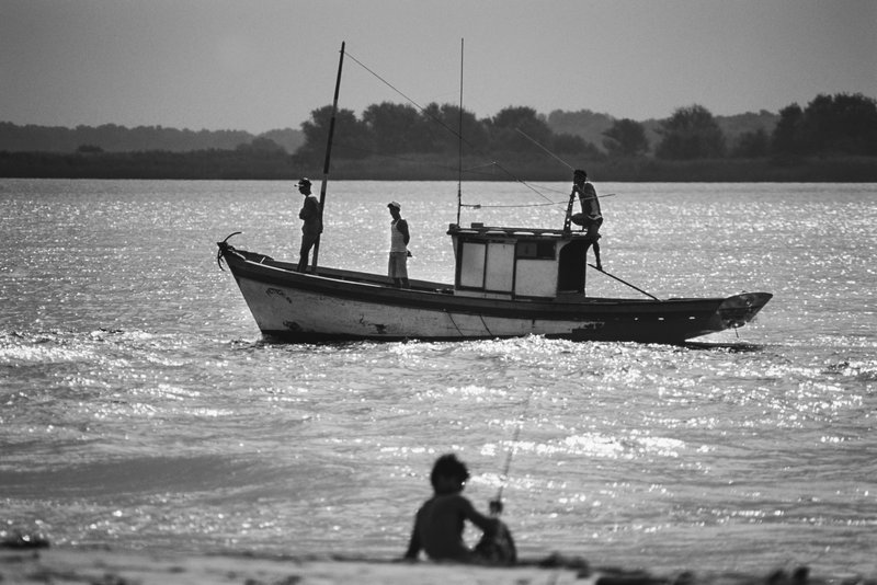 eca94373-f908-42f3-aa3b-8bd3ae046767