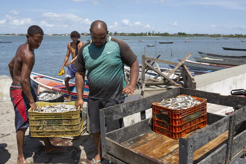 c078a6a9-ac16-49a1-8196-a2e5a4c82b6b