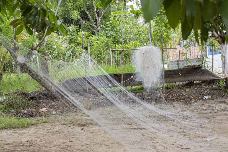 3c3a926b-71db-4ceb-aa9c-dd2955bde656