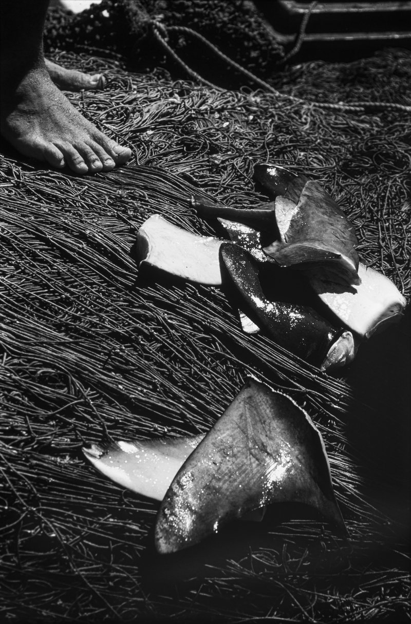 9d9690ca-c127-4d99-88e6-41b33a79e2d9