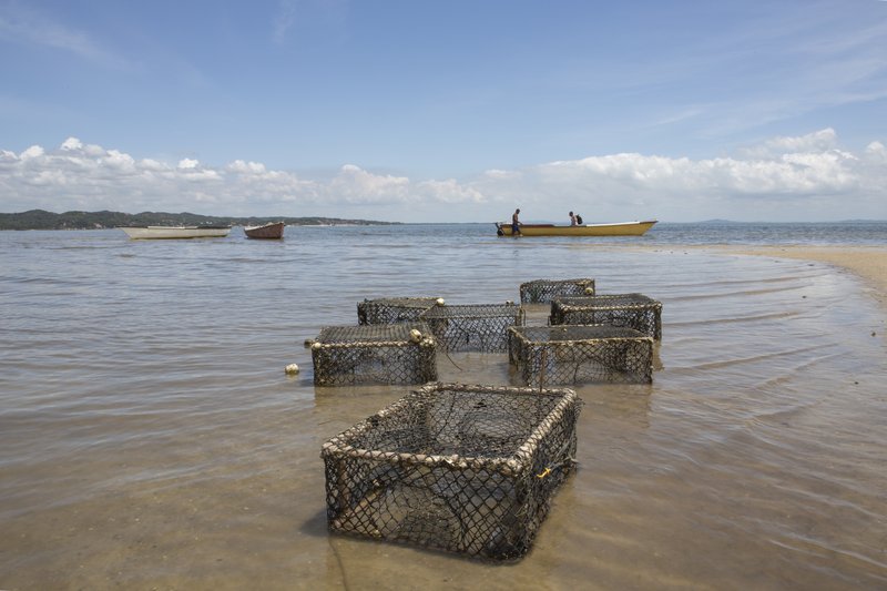 a6a7404f-37af-44f9-bd72-502408bec843