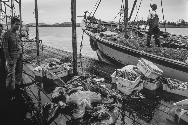 126418cd-0986-4baa-8f87-273e3af79ddf