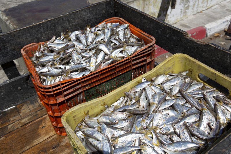 e80566ef-6dae-4705-a18c-c9c19af702b1