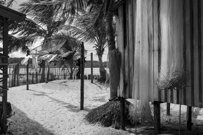 a3646b17-e2f8-4a02-bd1b-245781f2ccd7