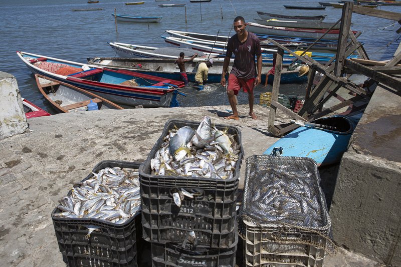 24e804ea-ae78-4069-b79a-6980154d9909