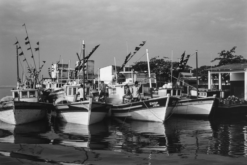 14b0c744-5c43-427f-8659-3a0ff4fb66e0