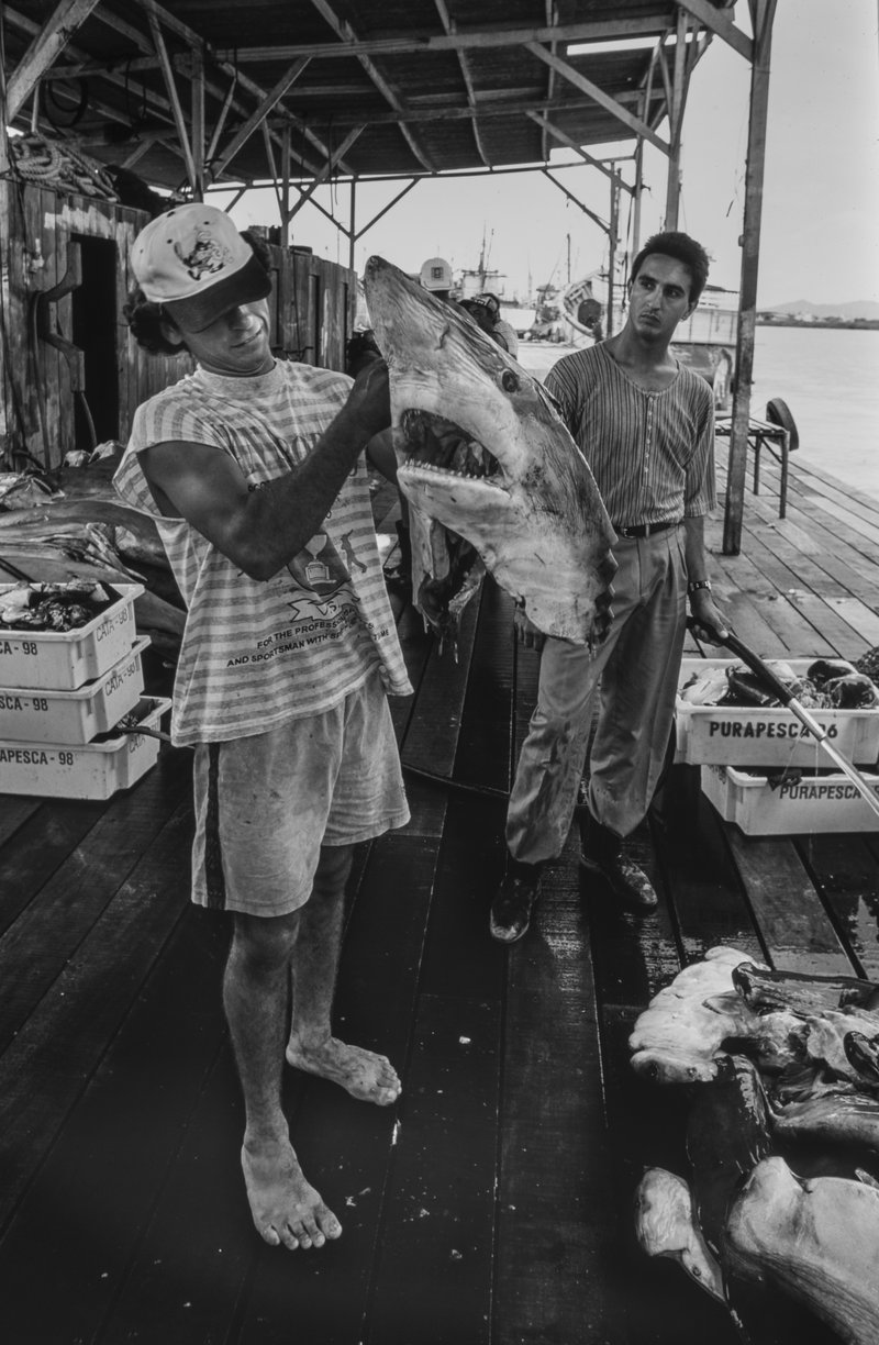 8543955c-3607-4793-8a9d-12069d99c811