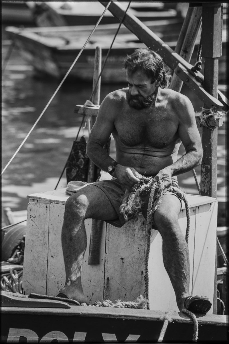 2e405a7e-db78-4598-98a1-021c44e63576