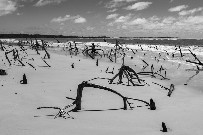 a77e1ca1-7c73-4ee5-9a2b-9580231d7b54