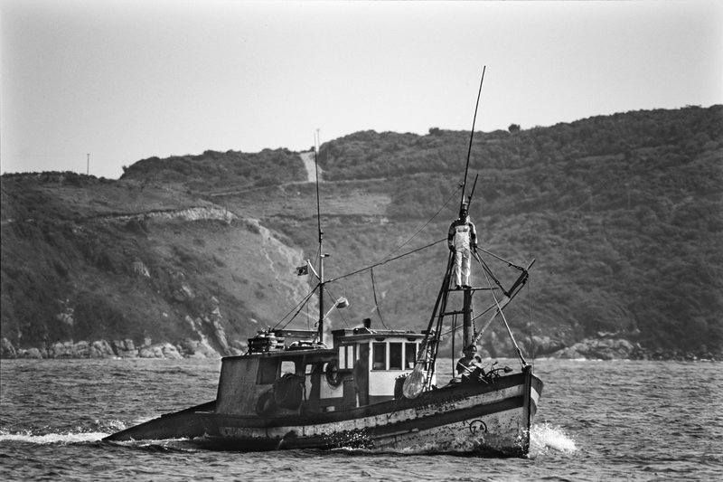 f9eba1d8-97ee-4014-ae5b-ab06c7a6d090