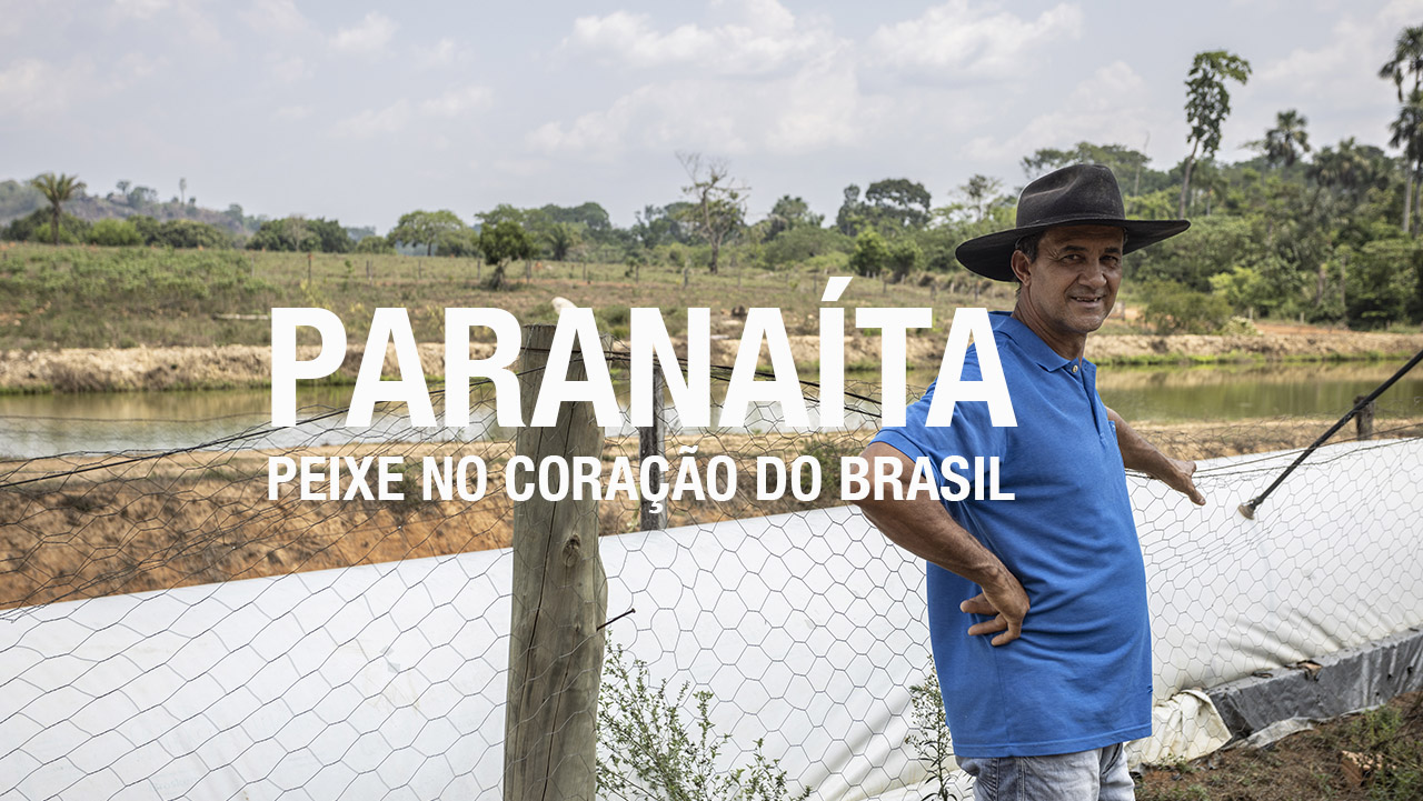 Sustentabilidade